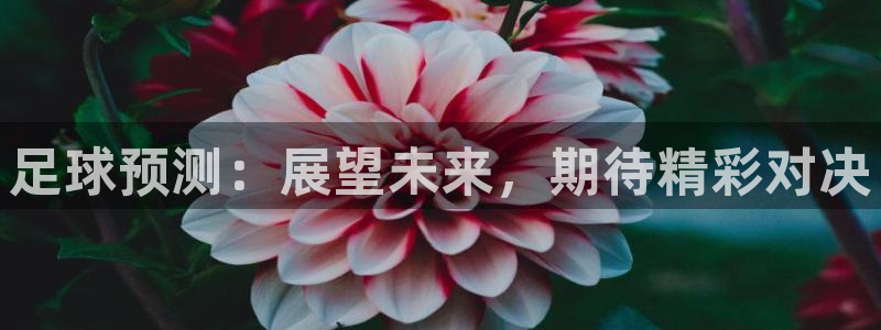 足球预测：展望未来，期待精彩对决