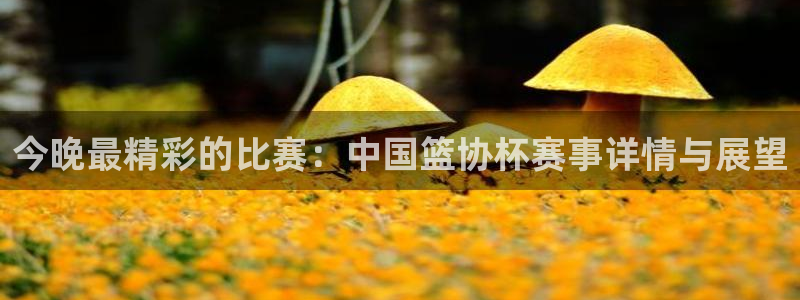 今晚最精彩的比赛：中国篮协杯赛事详情与展望