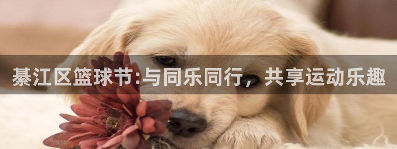 星空体育登陆：綦江区篮球节:与同乐同行，共享运动乐趣