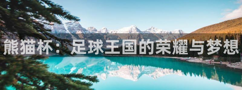 星空体育a：熊猫杯：足球王国的荣耀与梦想