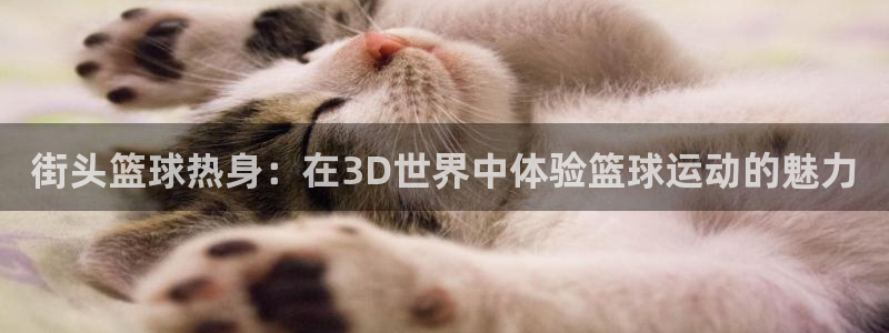 星空体育最新：街头篮球热身：在3D世界中体验篮球运动的魅力