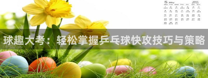 天空体育足球评论员：球趣大考：轻松掌握乒乓球快攻技巧与策略