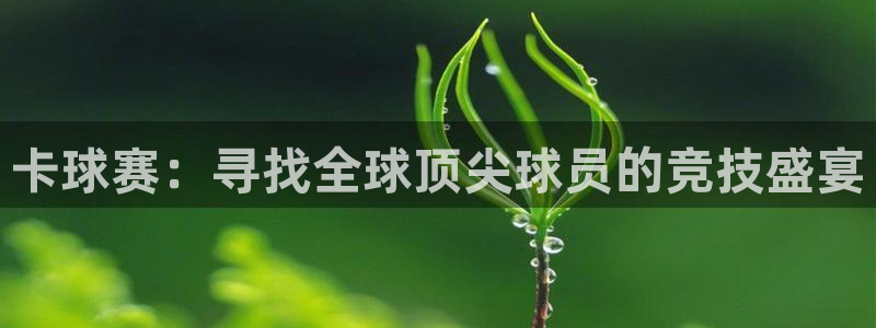 星空体育网址：卡球赛：寻找全球顶尖球员的竞技盛宴