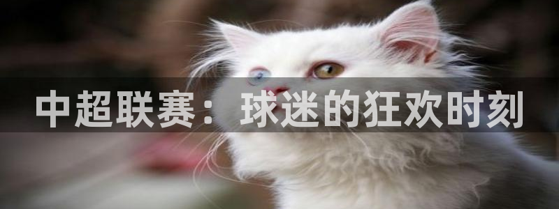 星空xk体育：中超联赛：球迷的狂欢时刻